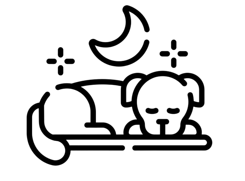 Іконка собаки